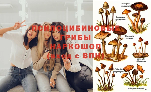 СК Абдулино