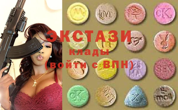 гашик Алексин