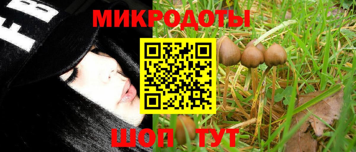 Галлюциногенные грибы ЛСД Ростов-на-Дону
