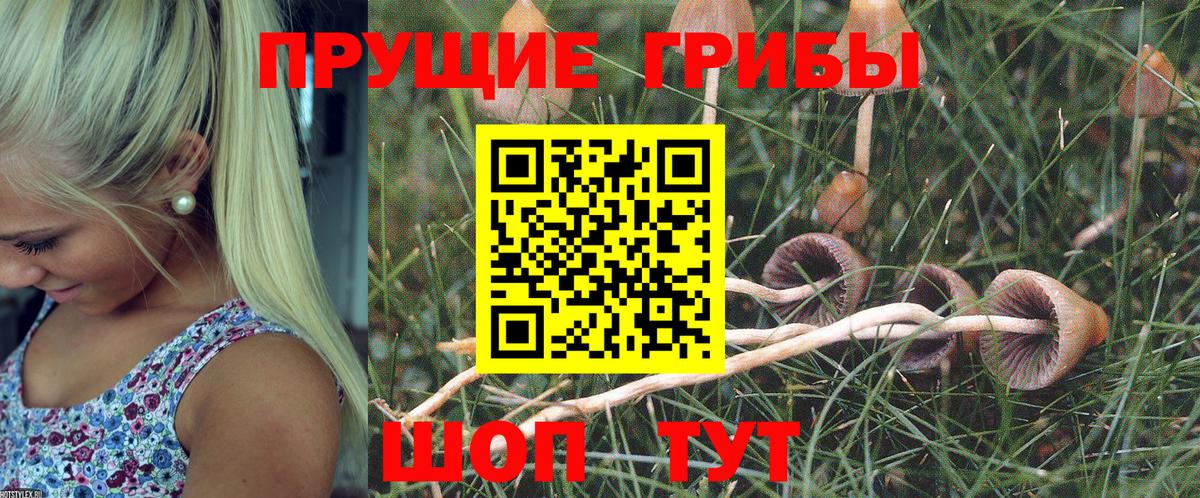 Псилоцибиновые грибы мухоморы  Галлюциногенные грибы Psilocybine cubensis  Ростов-на-Дону  Вход с VPN 